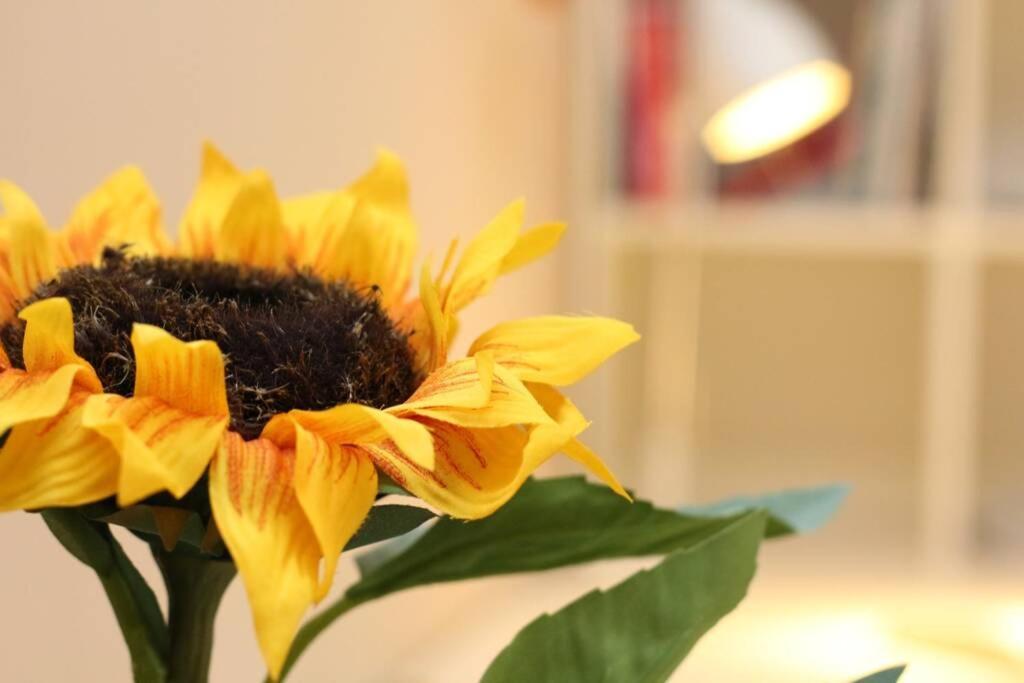 Fast Friend - Cozy Apartment In The Center With Private Garage Rijeka Exteriör bild