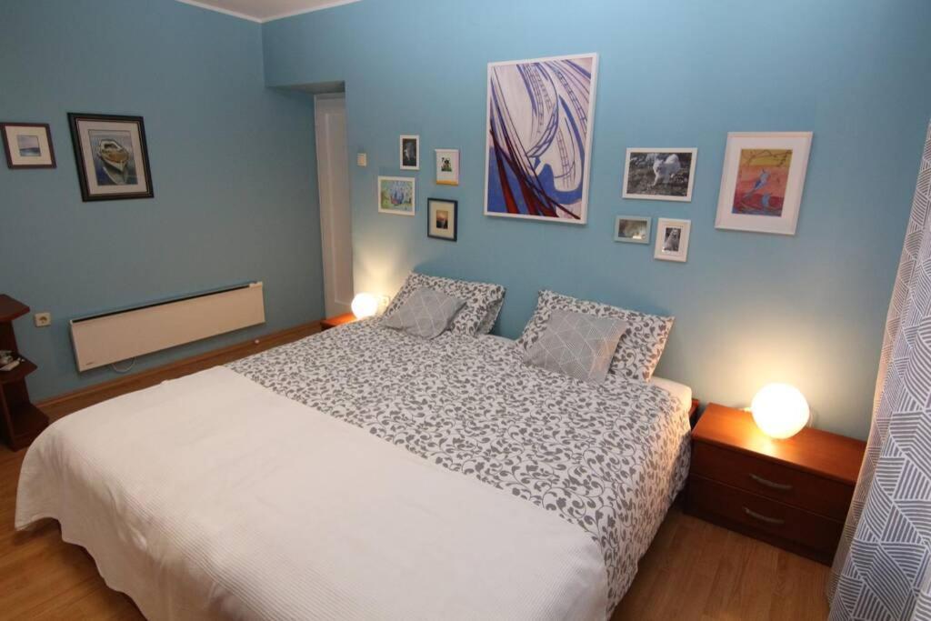 Fast Friend - Cozy Apartment In The Center With Private Garage Rijeka Exteriör bild
